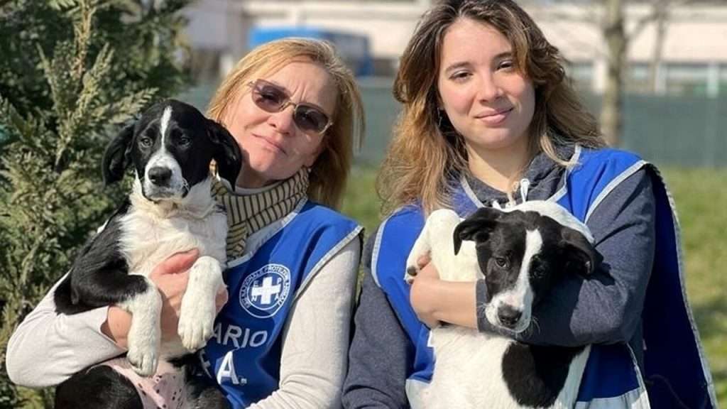 Volontari dell’Ente Nazionale Protezione Animali (ENPA).